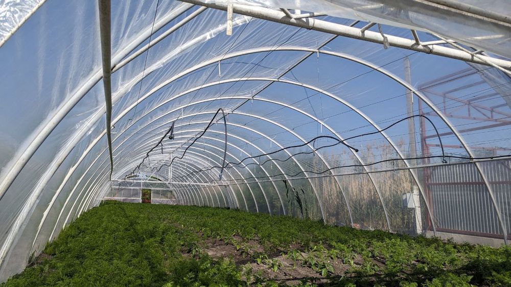 Теплиці 10×50, 6×30, 10×100 Найнижча ціна! Знижка по УБД!