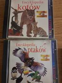Encyklopedie na CD