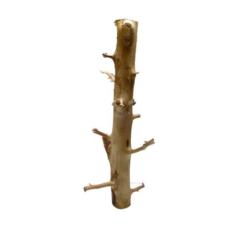 Korzeń Akwariowy - Tree Wood - 37-50cm [WYSYŁKA]