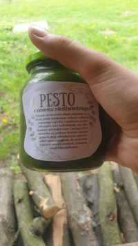 Pesto z czosnku niedźwiedziego 250ml