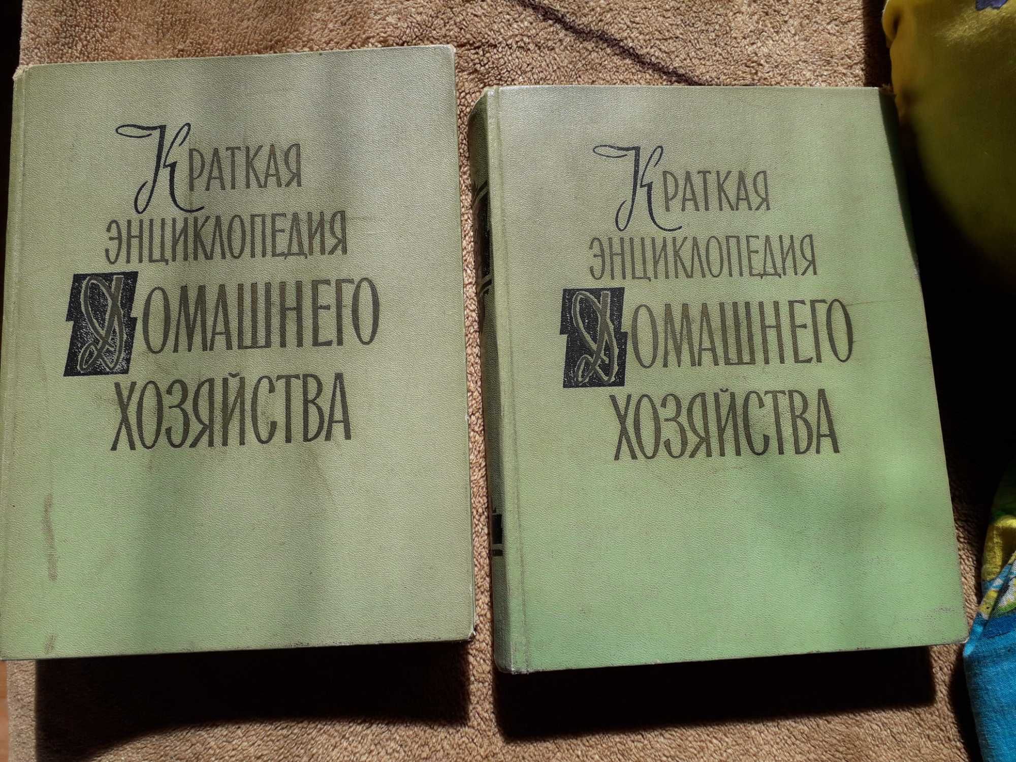 Энциклопедия домашнего хозяйства,  в двух томах