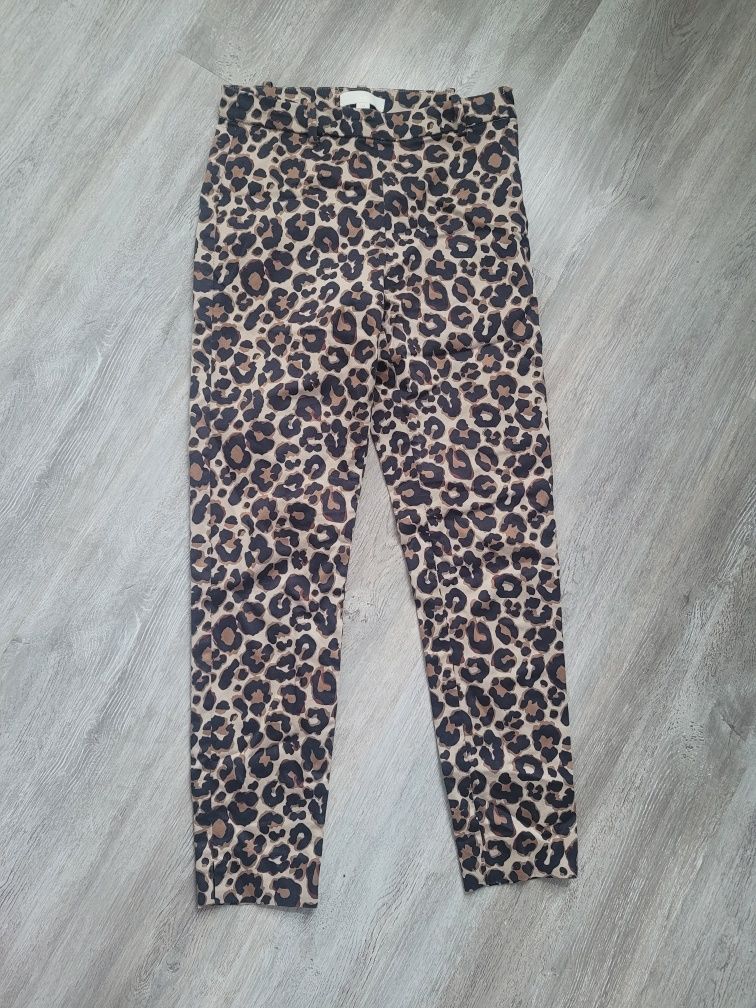 H&M leginsy spodnie panterka XS S