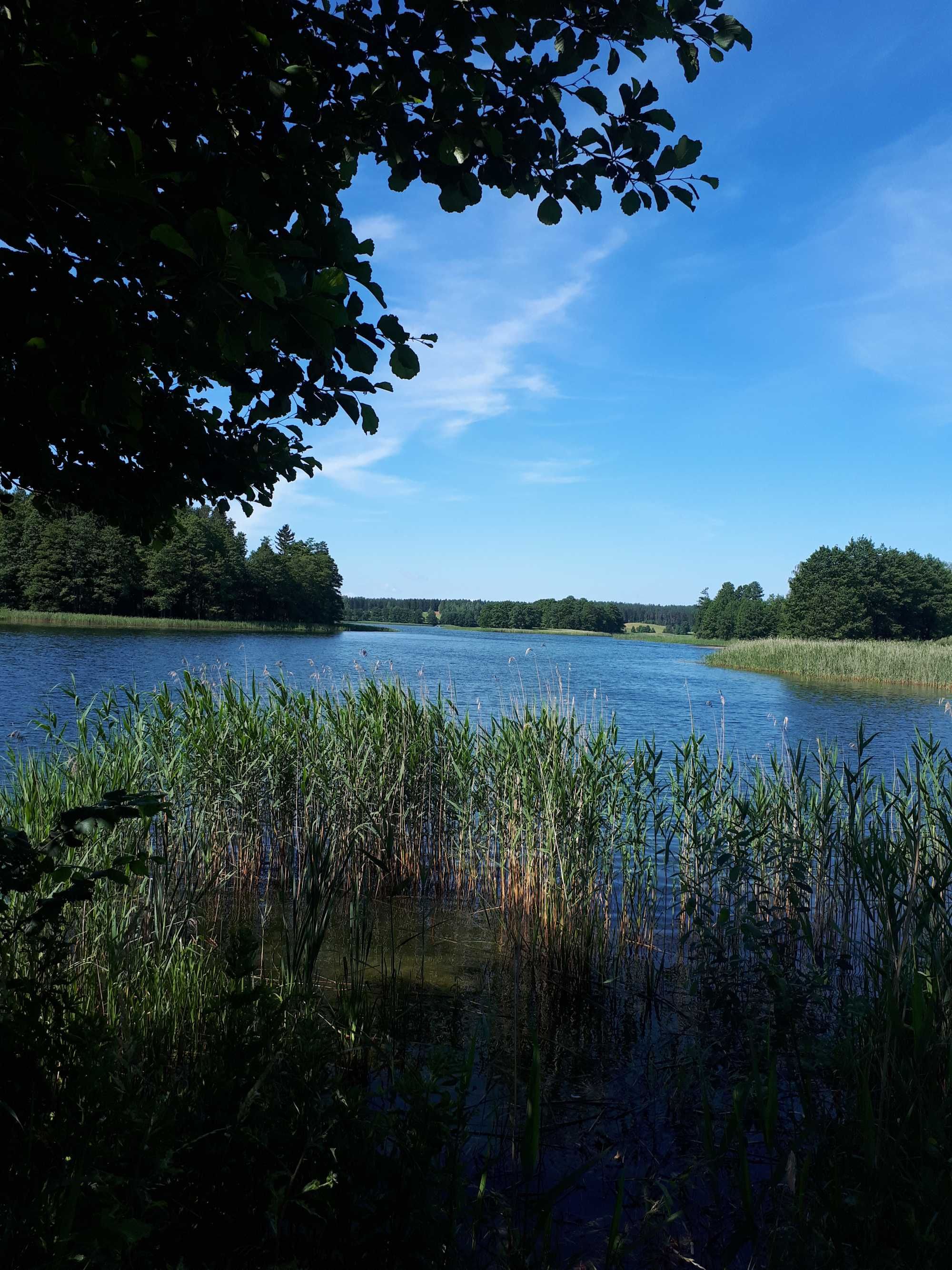 Działka z linią brzegową 4000m linia 43m