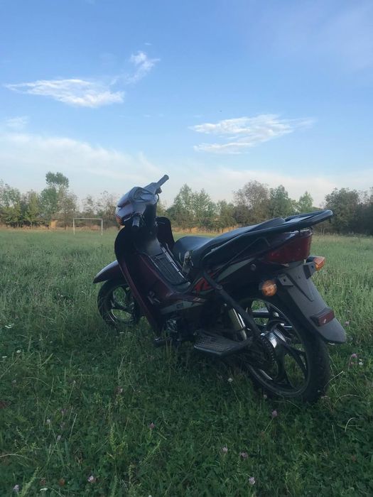 Продам Mustang aktive110