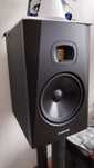 Adam Audio T8V legendarny monitor studyjny z głośnikami wysokotonowymi