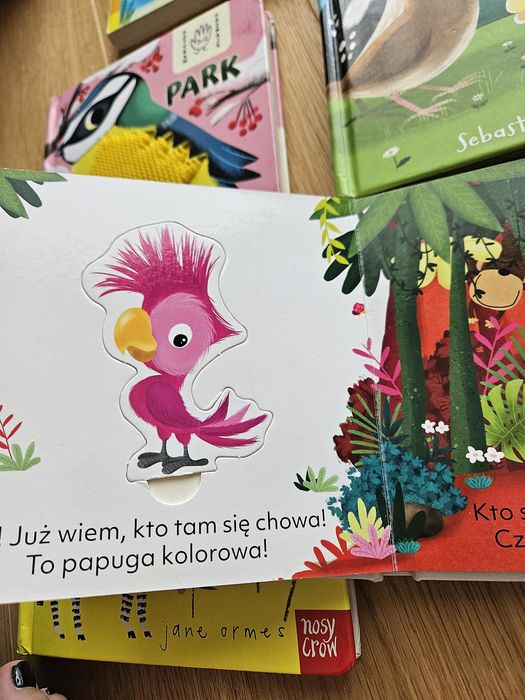 11 książek dla dzieci cena za całość