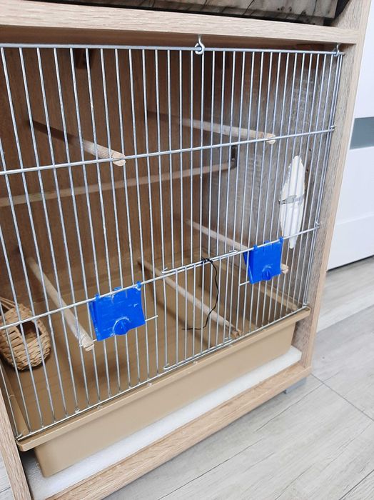 Regał woliera klatka dla ptaków ptak kanarek akcesoria wyposażenie