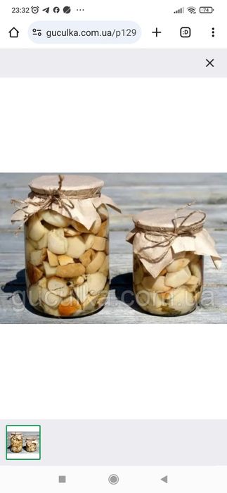 Гриби карпатські