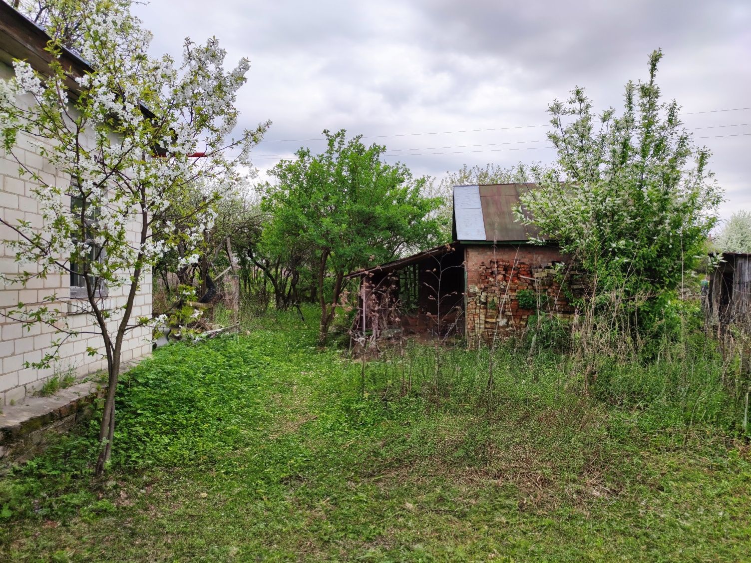 Будинок в селі Халявин Чернігівської області