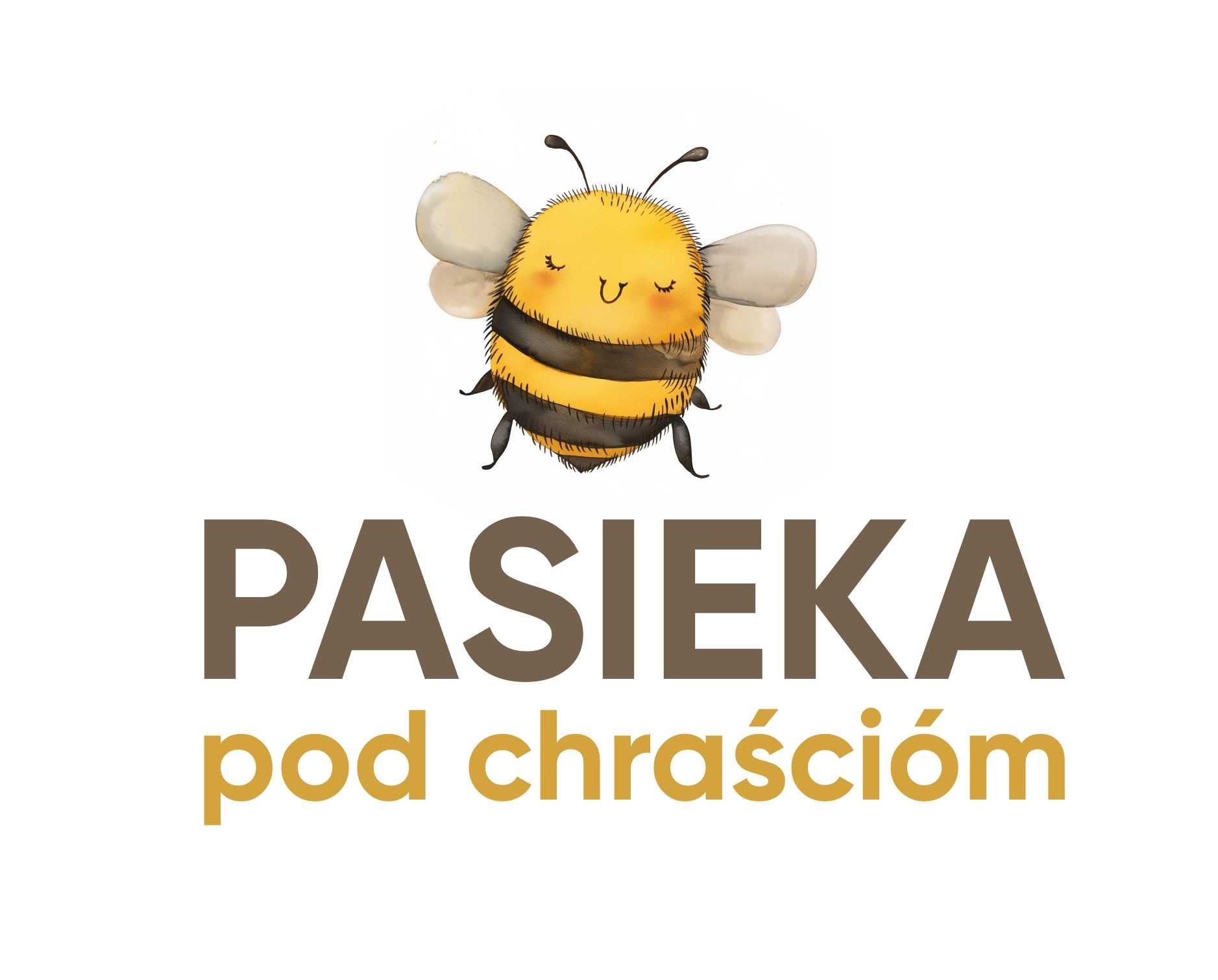 Apidomek, uloterapia w Istebnej - oddychanie powietrzem ulowym