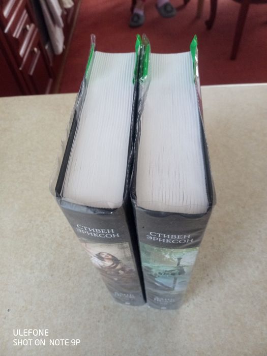 Стивен Эриксон - Дань псам