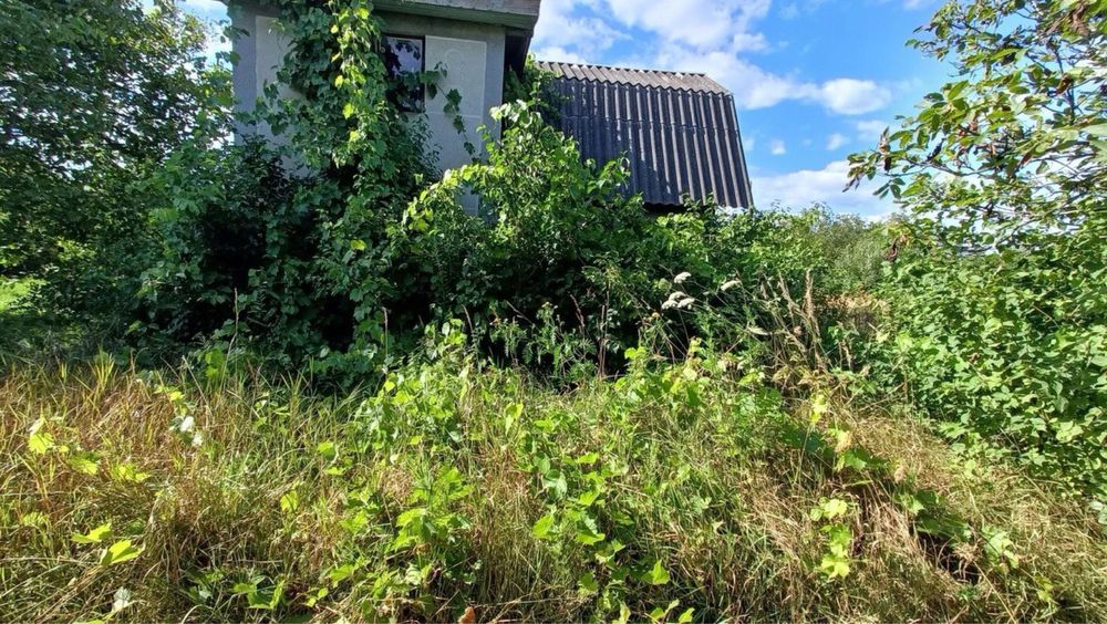 Комплексні роботи/зрізання дерев/покос трави/прибирання/демонтаж/вивіз