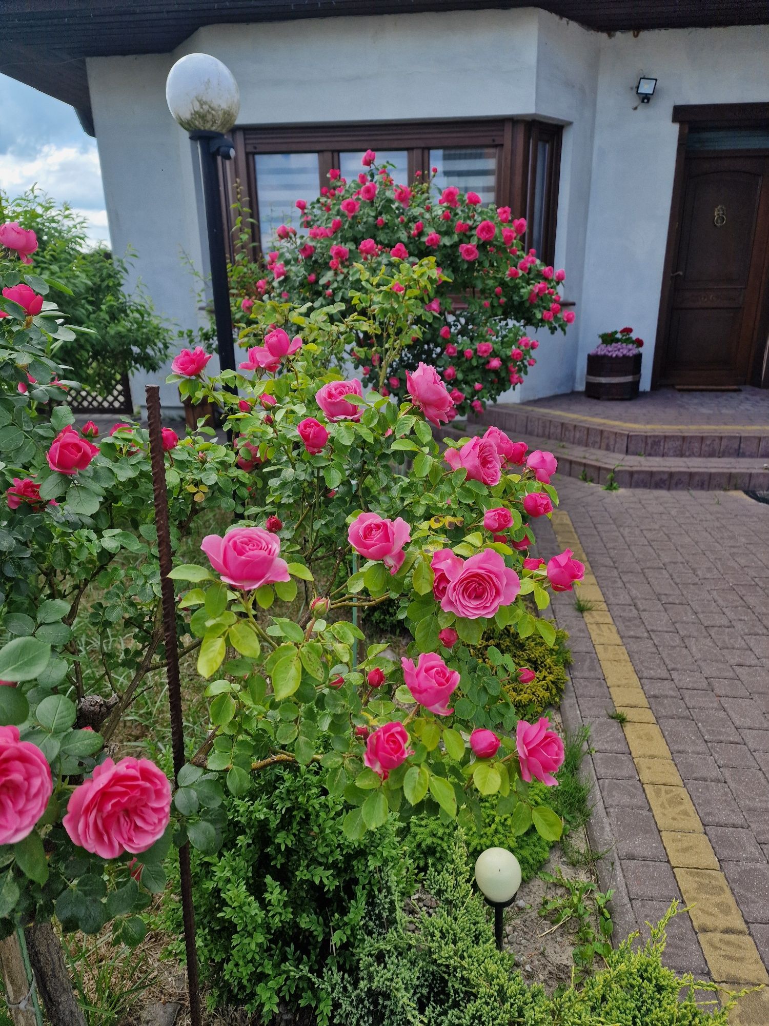 Sprzedam dom wolnostojący w Chojniczkach.