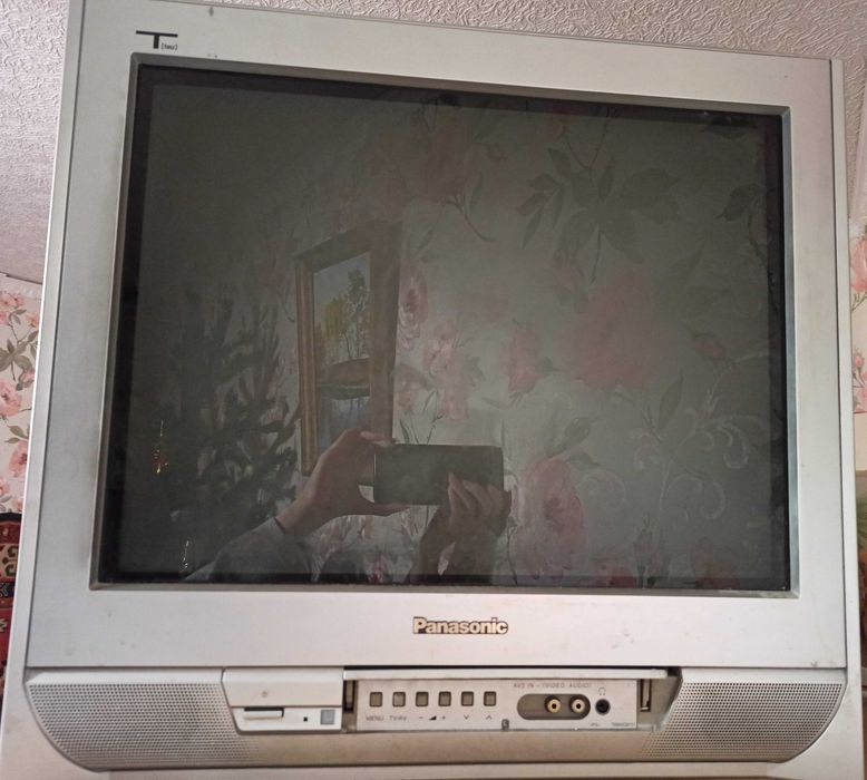 Телевизор Panasonic TC-21PM50R