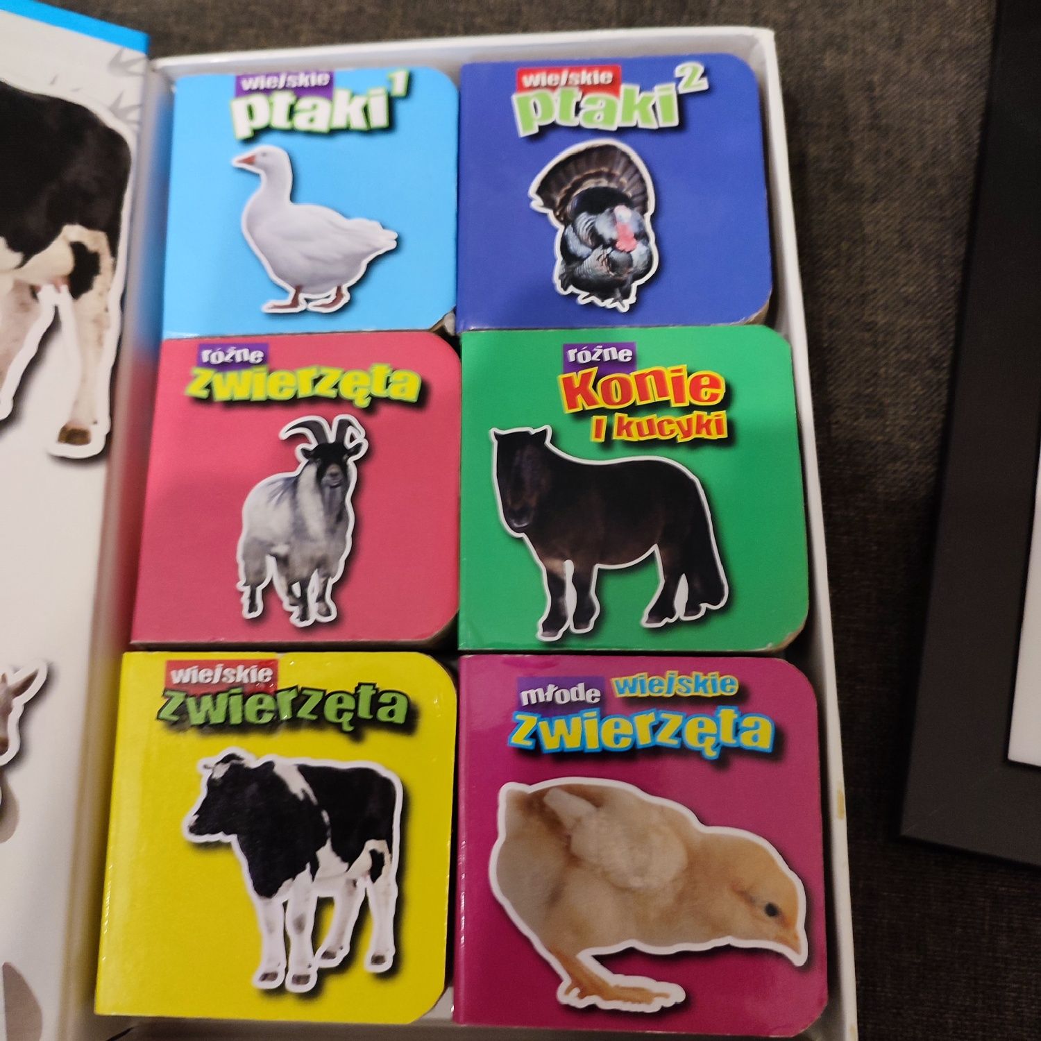 Książka twarde kartki zwierzęta