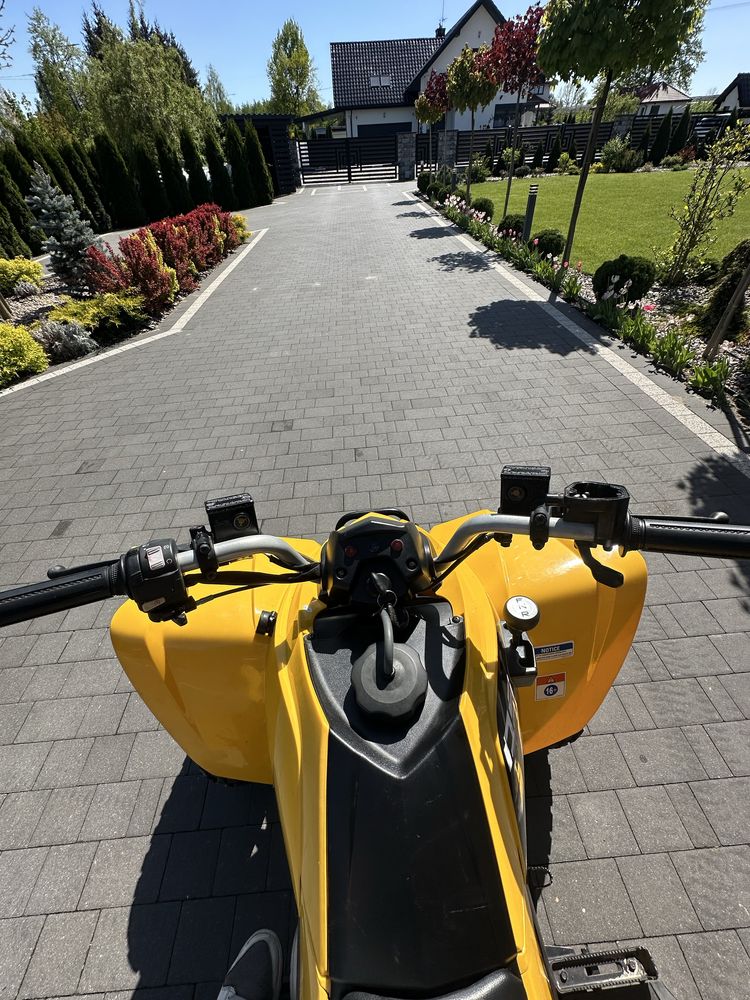 quad Can am ds 250