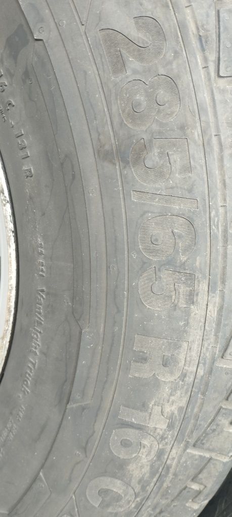 Однокоткова спарка
