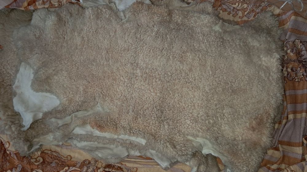 Skóry Owcze wyprawione na surowo