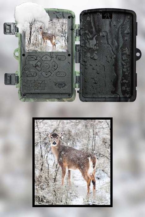 ZESTAW Fotopułapka 1080p kamera myśliwska leśna wodoodporna DIODY IR