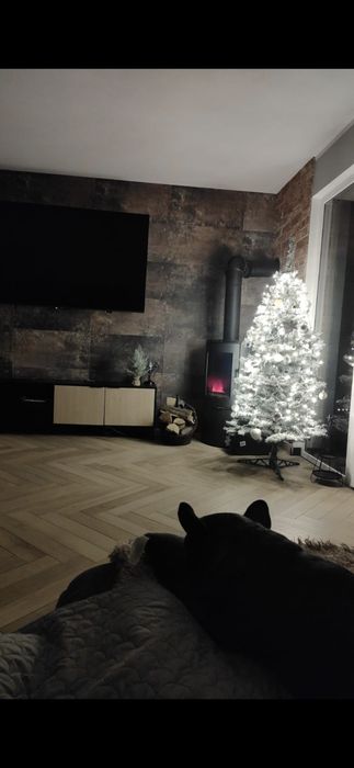 Wykańczanie wnętrz , sufity napinane