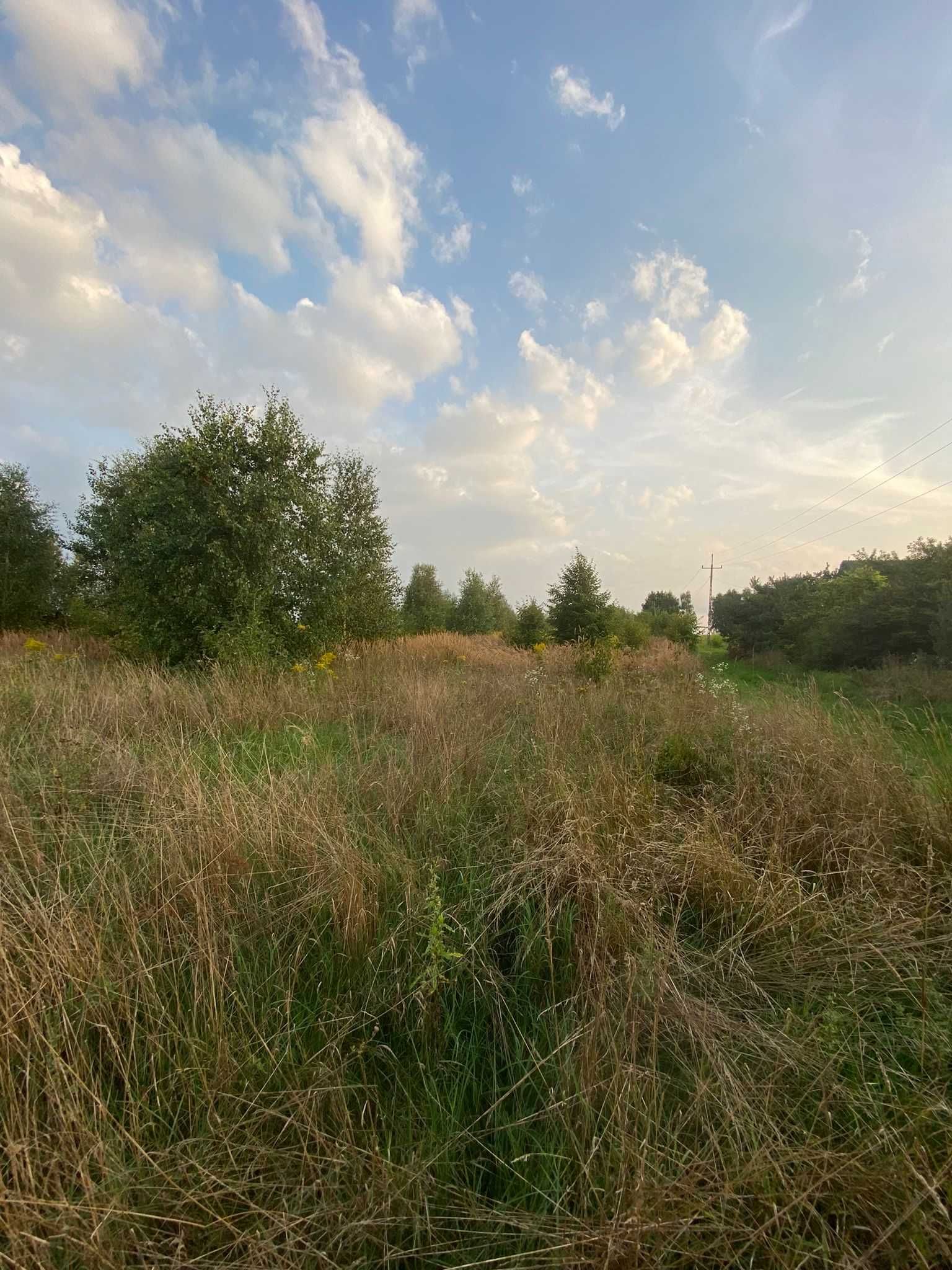 33 Działki Budowlane o pow. 3,3 HA Porzecze Gm. Miedziana Góra