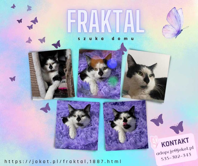 Fraktal Kwaternion Ptolemeusz Pierwszy szuka domu ^-^