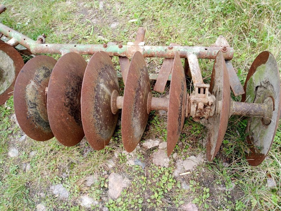 Talerzowka, talerze.