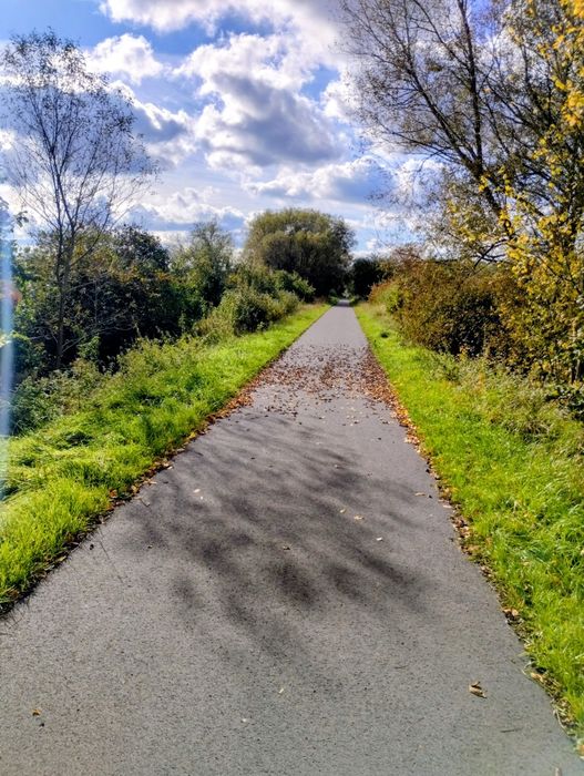 Dwie działki ogrodowe ROD z widokiem na łąkę