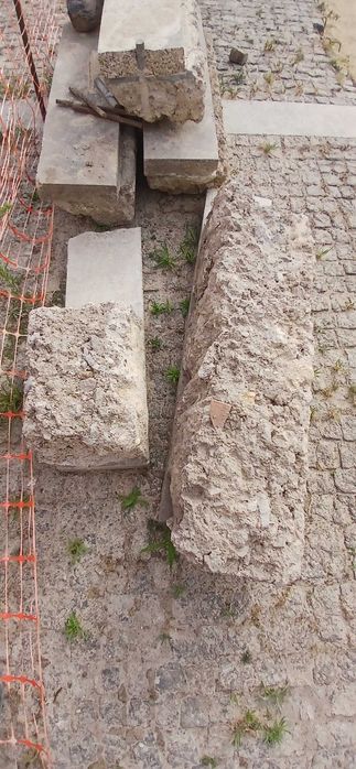 Fazo limpieza de terrenos e jardins e casas recolho tipo de emtulho