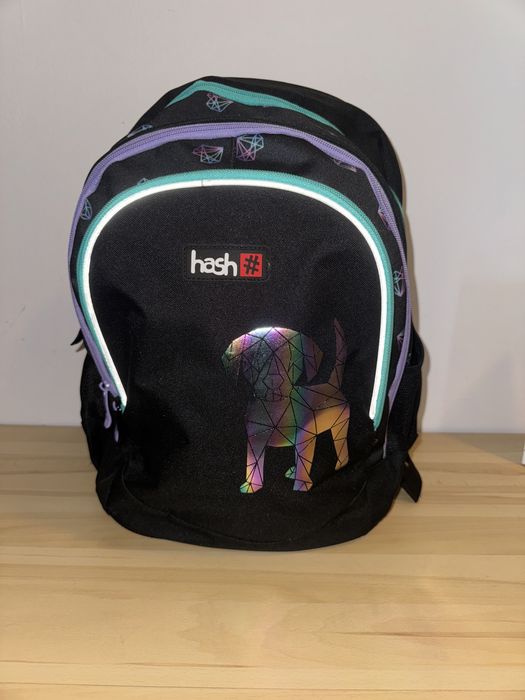 Шкільний дитячий Рюкзак hash з ортопедичною спинкою
