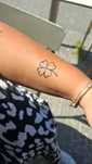 Tatuagens – Iniciante | Preço Simbólico 10€