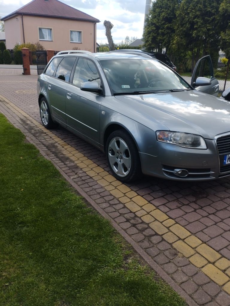 Audi A4b7 2.0 b+g