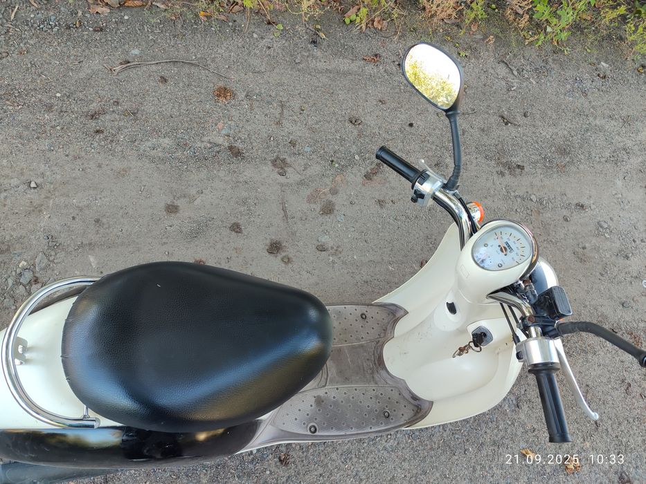 Honda scoopy af55