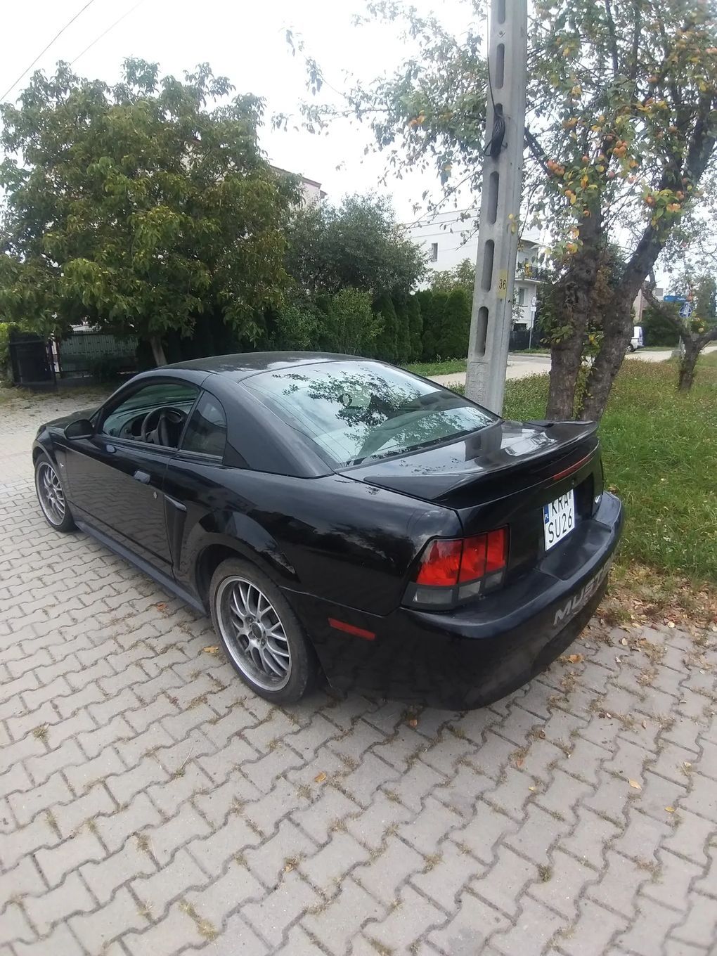 Ford Mustang Orginalny Manual