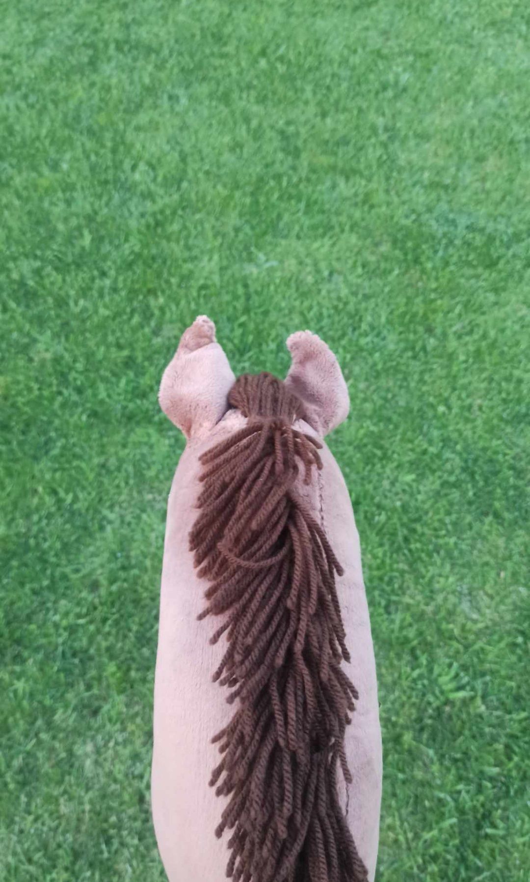 Hobby horse a4 gniady