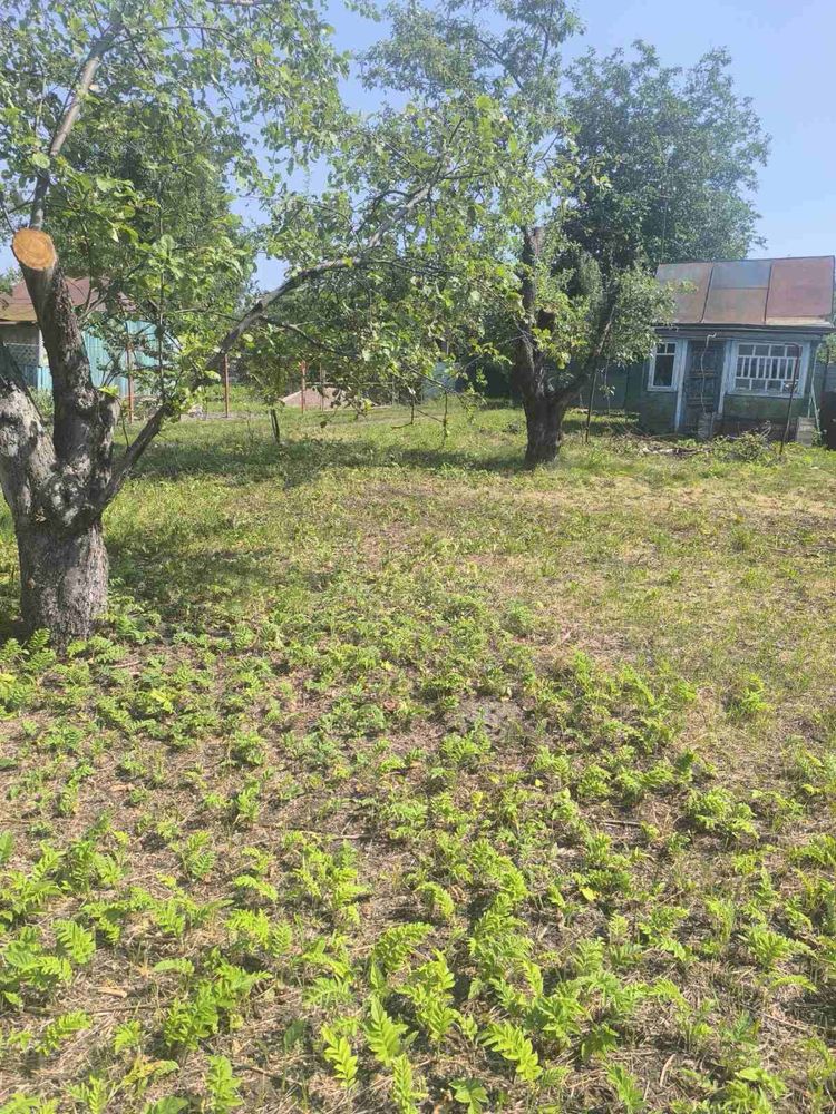 Продам приватизированную дачу РТС
