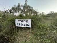 Terreno cerca d/15.000m2