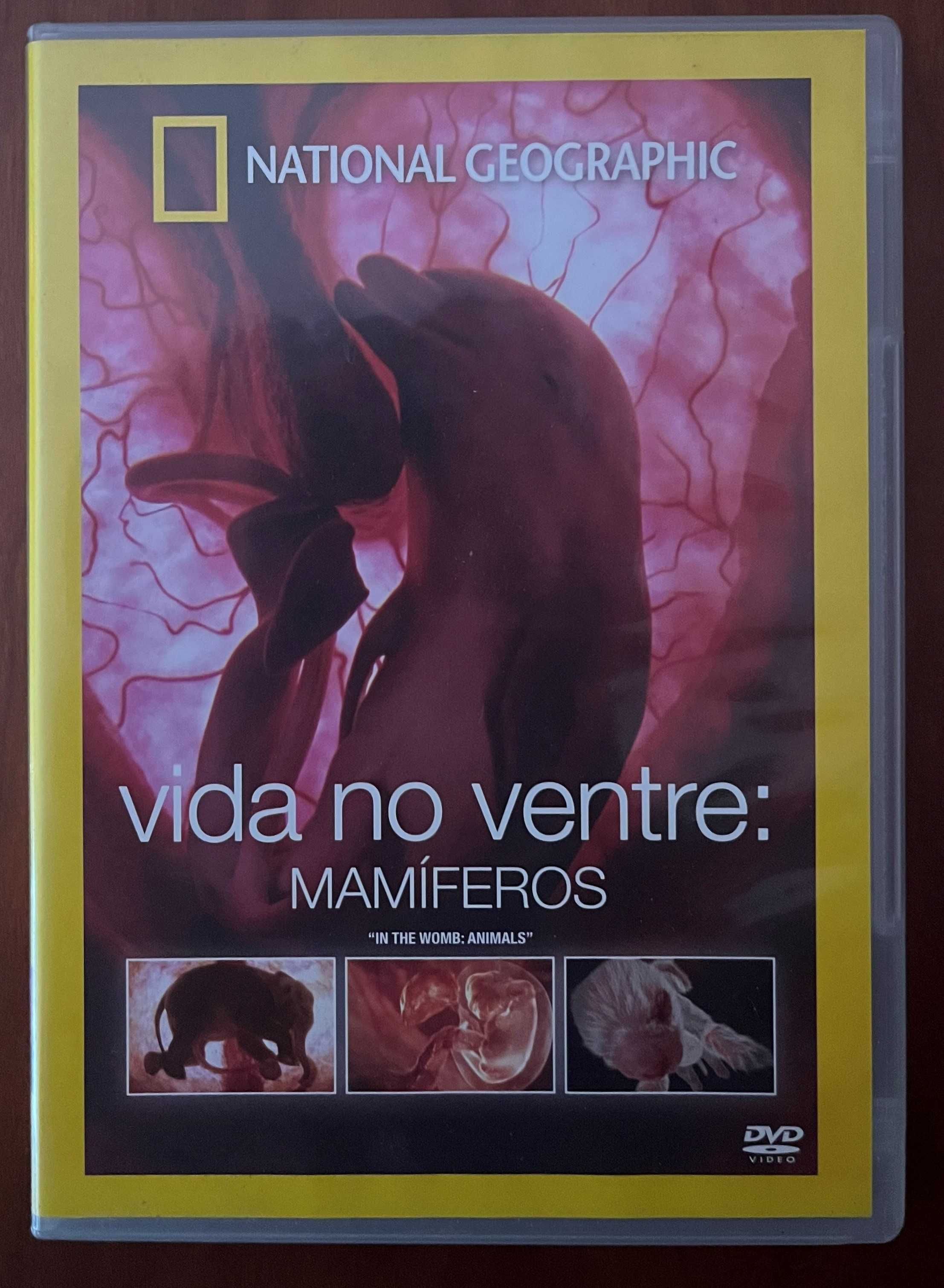 DVD "Vida no ventre: Mamíferos" de National Geographic