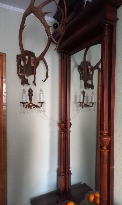 Оленячі роги / оленьи рога