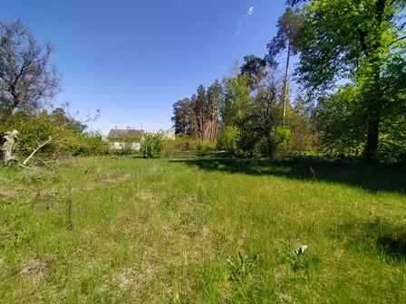 Будинок з ділянкою в Лісі