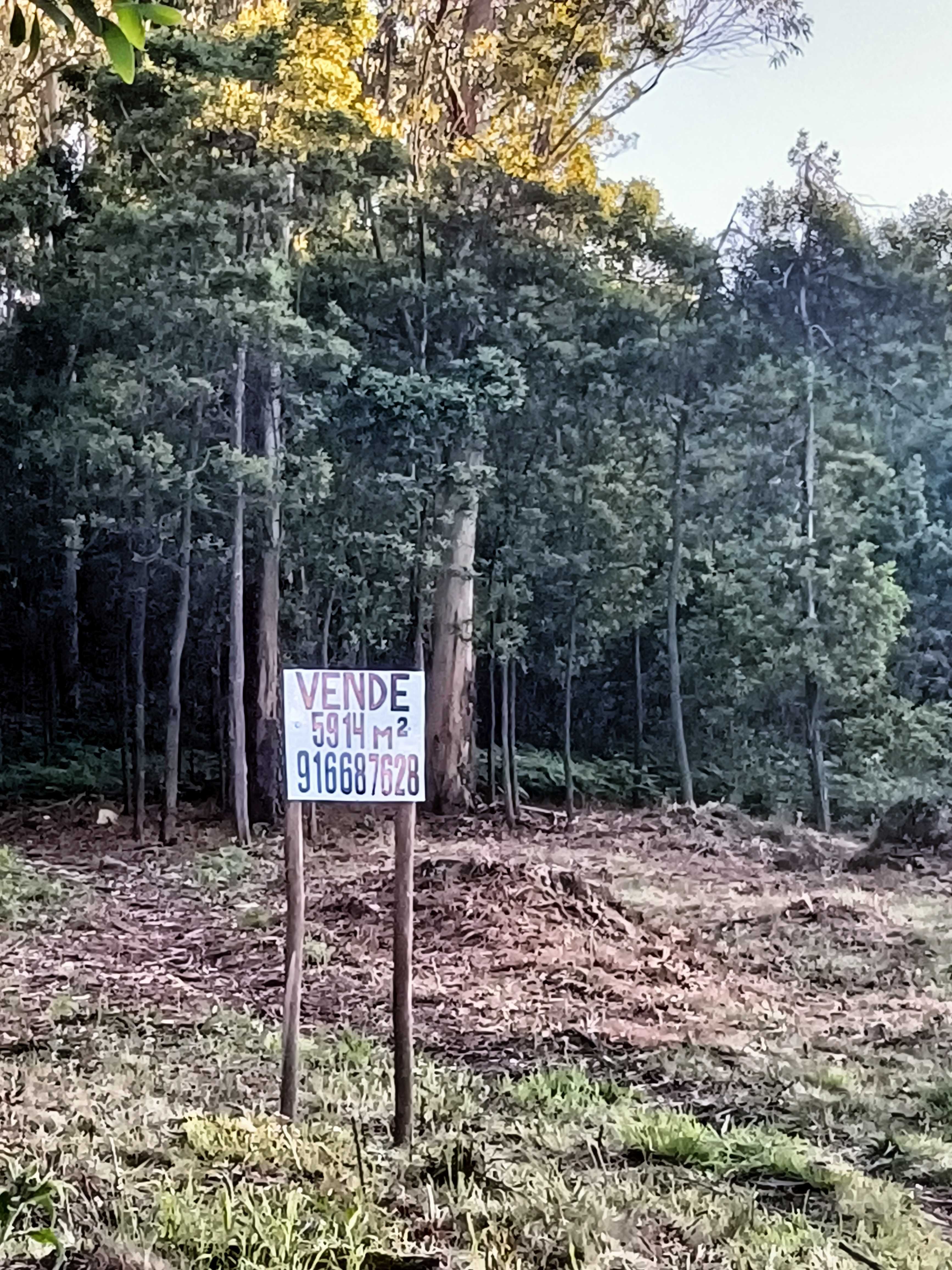 Terreno para construção em Oliveira de Azeméis com 5914 m2