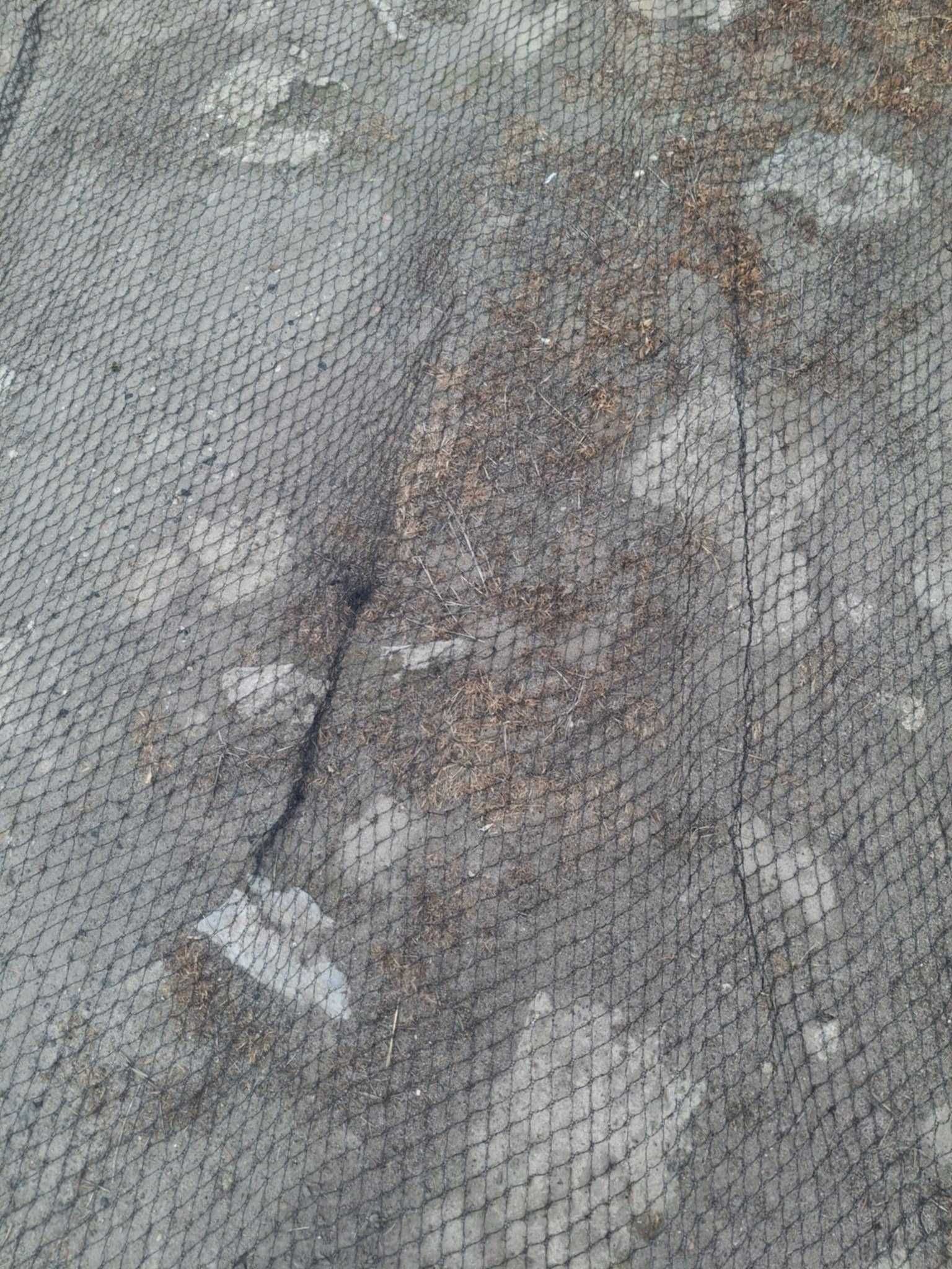 Siatka przeciw szpakom