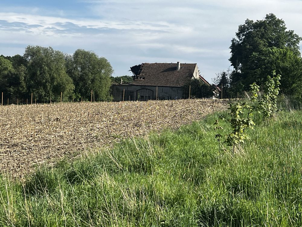 Działki rolno budowlane Dobrzenice Gmina Cieplowody