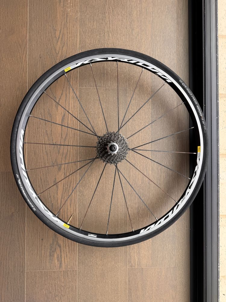 Vendo Cinelli Mash Histogram