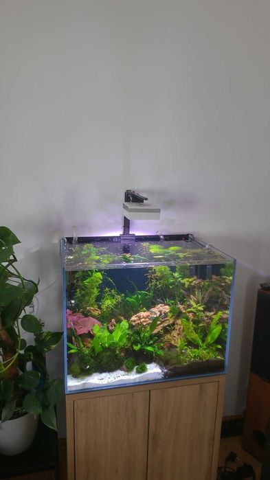 RL90 FW  Mega Mocna Lampa do Akwarium Roślinnego WIFI 90WAT NOWOŚĆ!