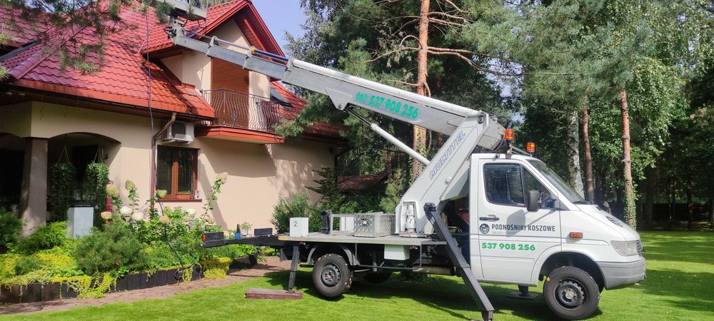Wycinka i pielęgnacja drzew,wynajem  podnośnika koszowegi, zwyżki,