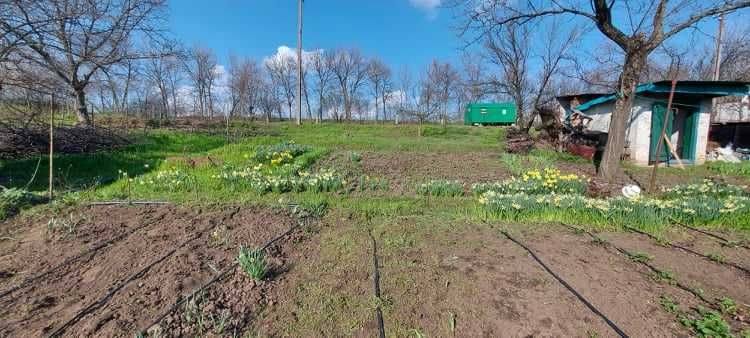 Продаю дачну ділянку Дніпро район Ігрень