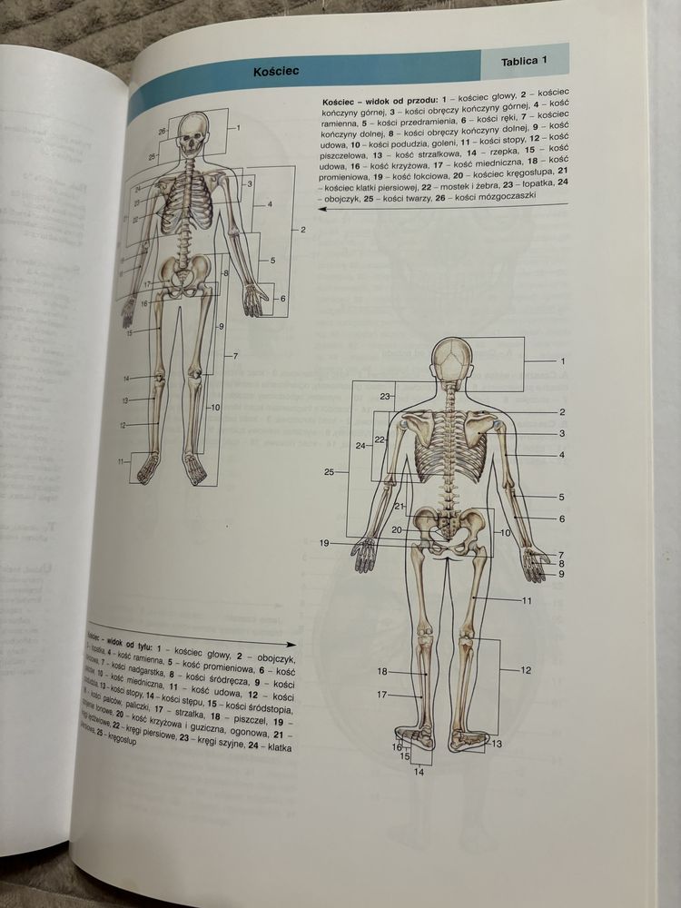 Encyklopedia zdrowia rodziny Tom 1