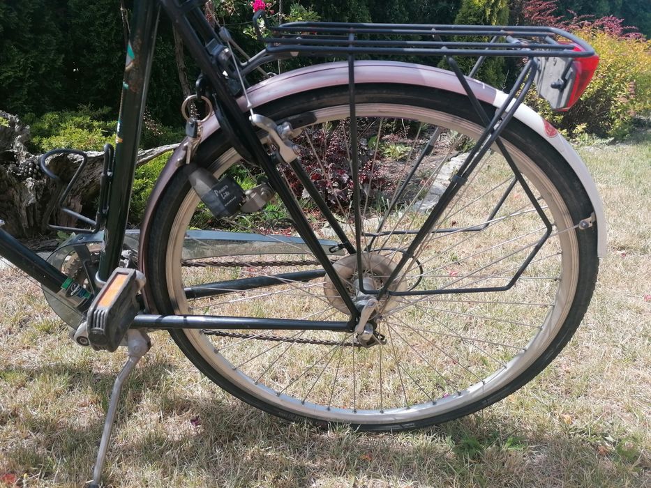 Gazelle Medeo rower męski