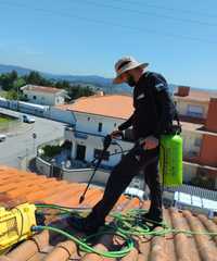Limpeza de telhado - caleira - desentupimento